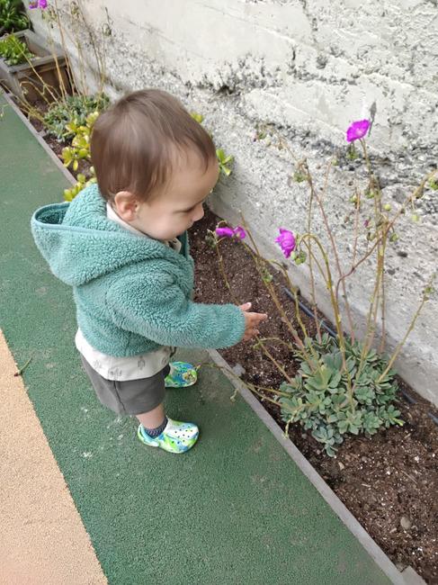 Exploring nature at Wonder Years School