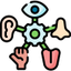 Sensory